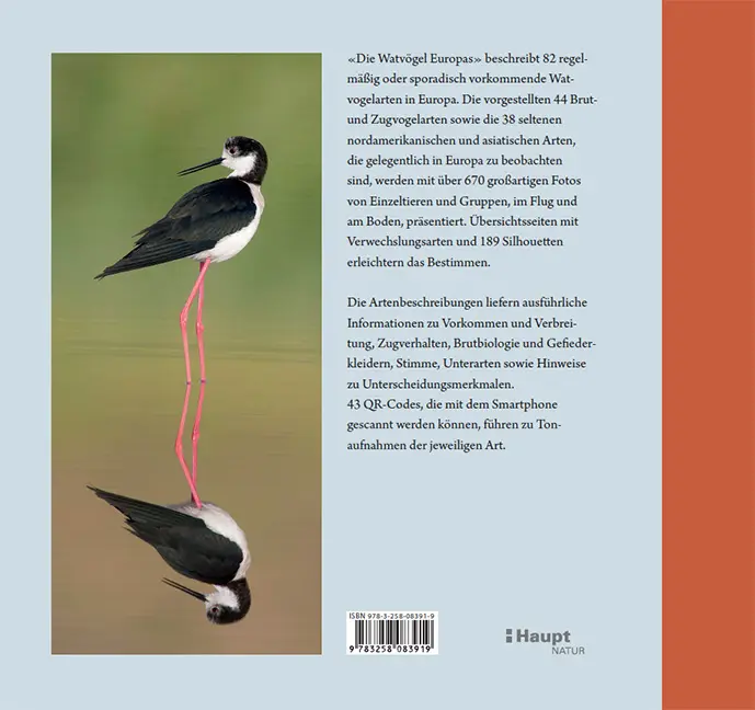 Back Cover Image Die Watvögel Europas