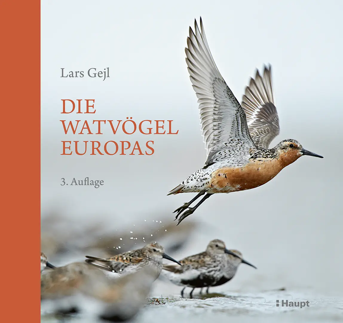 Front Cover Image Die Watvögel Europas