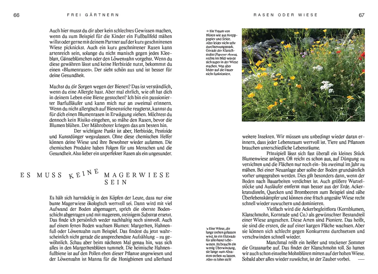 Sample Content (Image) Frei gärtnern