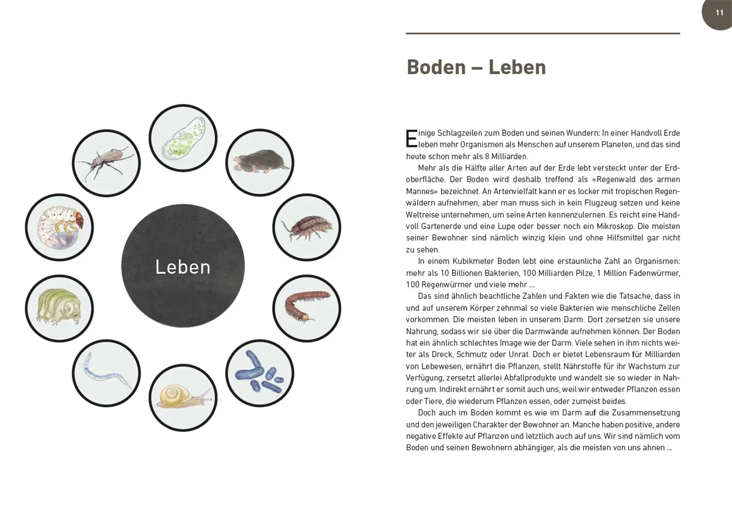 Sample Content (Image) Der Boden lebt