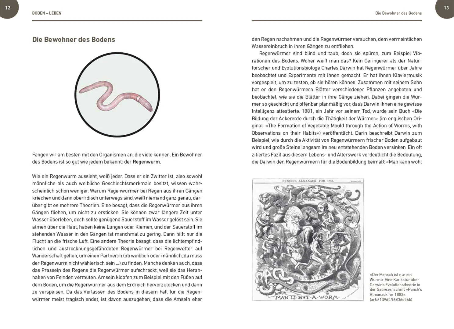 Sample Content (Image) Der Boden lebt