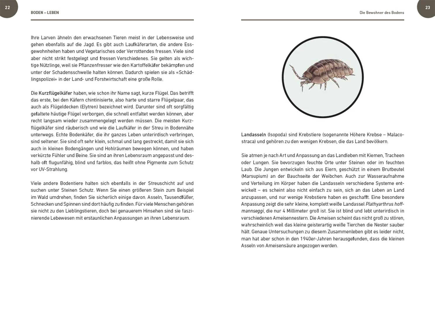 Sample Content (Image) Der Boden lebt