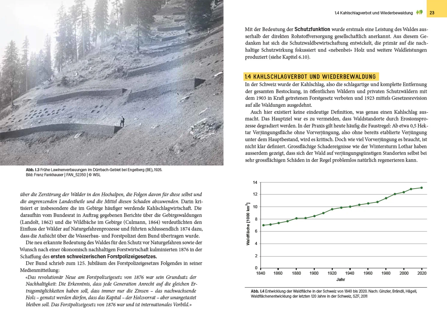 Sample Content (Image) Waldbewirtschaftung in der Schweiz