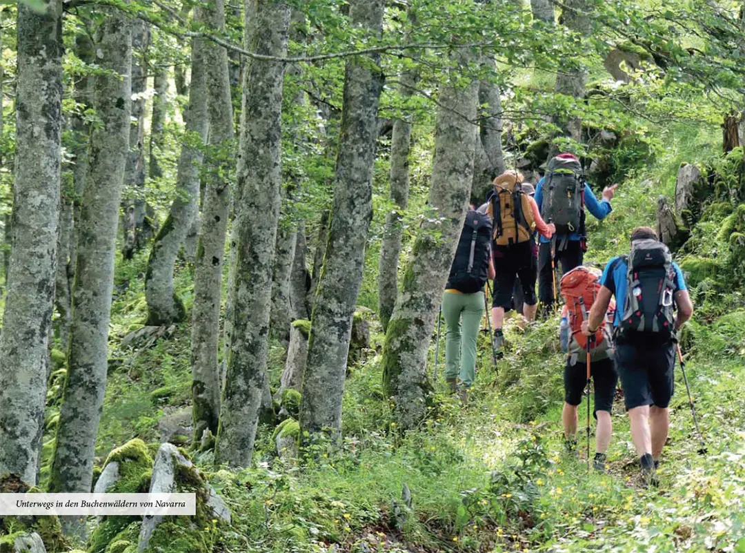 Sample Content (Image) Pyrenäenwanderer