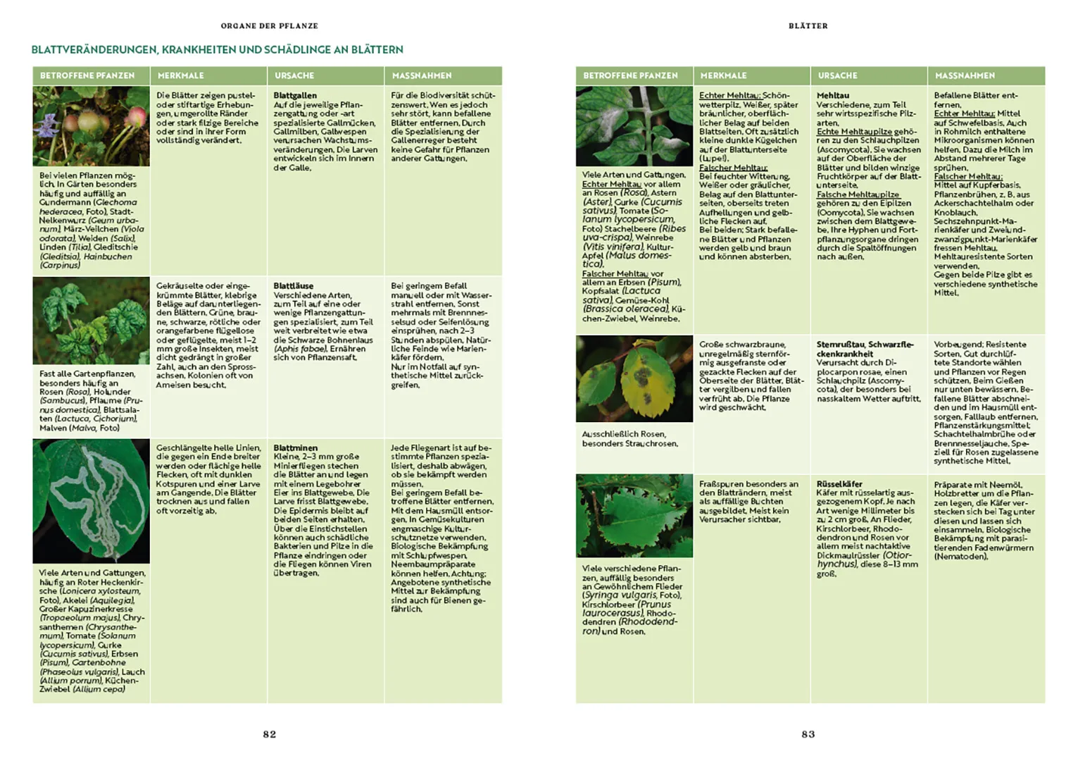 Sample Content (Image) Gartenbotanik