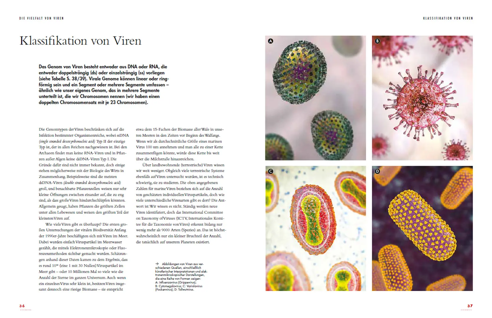 Sample Content (Image) Viren