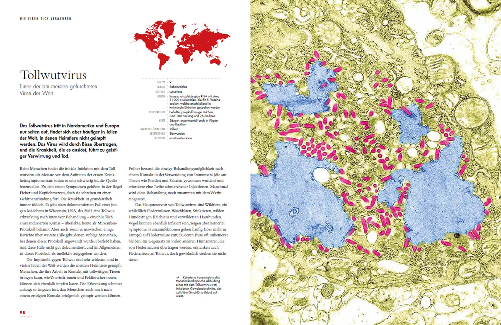 Sample Content (Image) Viren