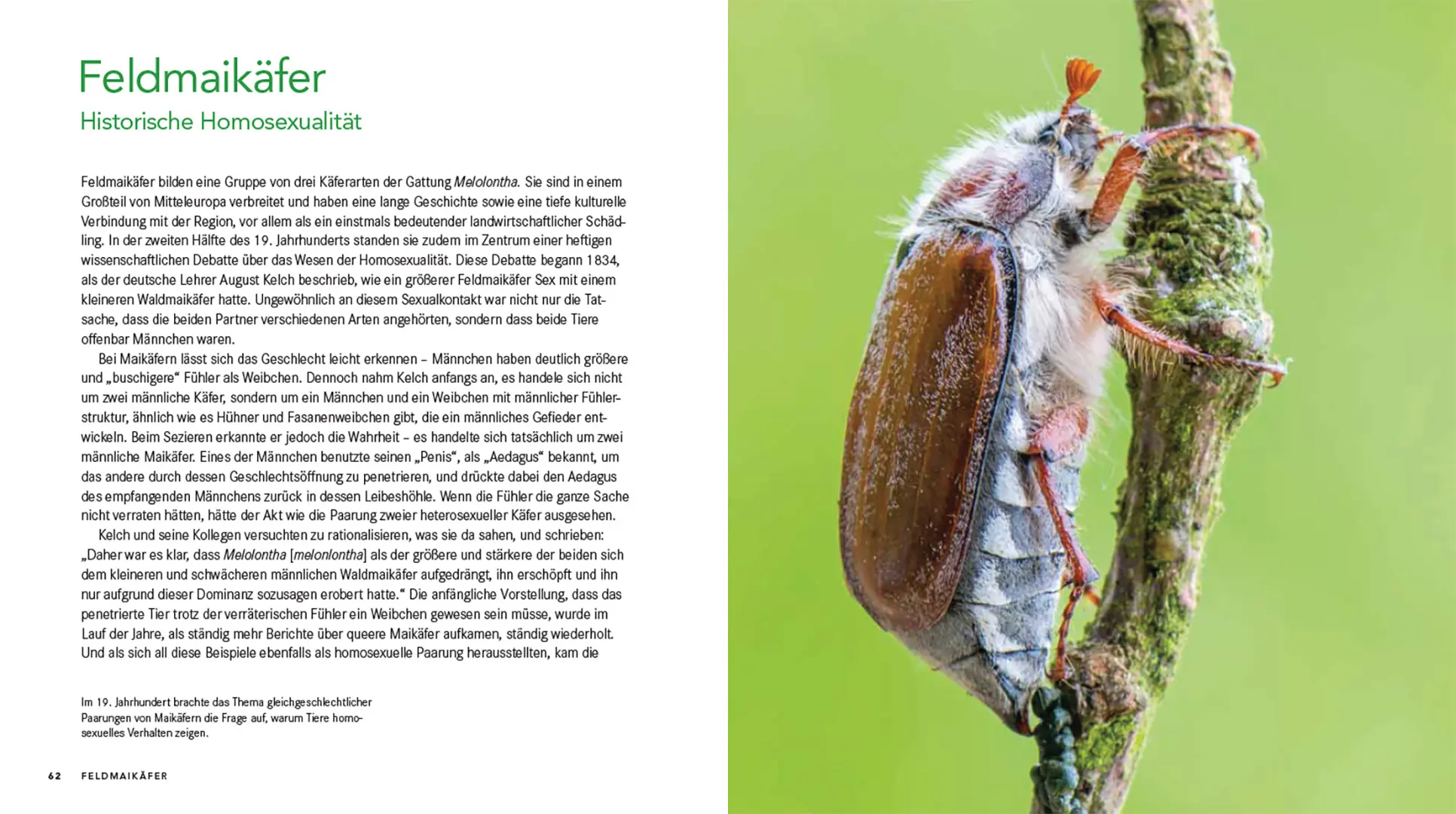 Sample Content (Image) Queer