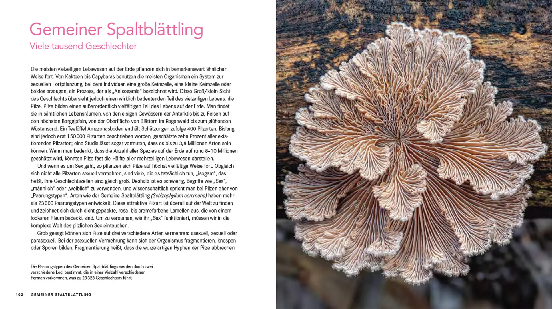 Sample Content (Image) Queer