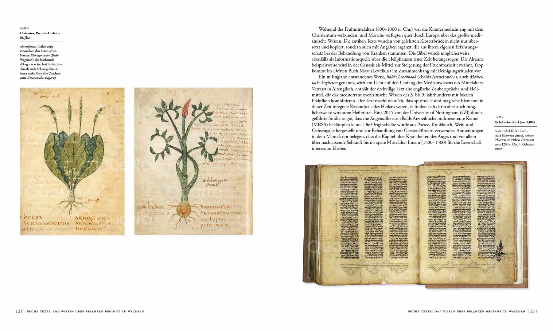 Sample Content (Image) Die Geschichte der Botanik in 300 Büchern