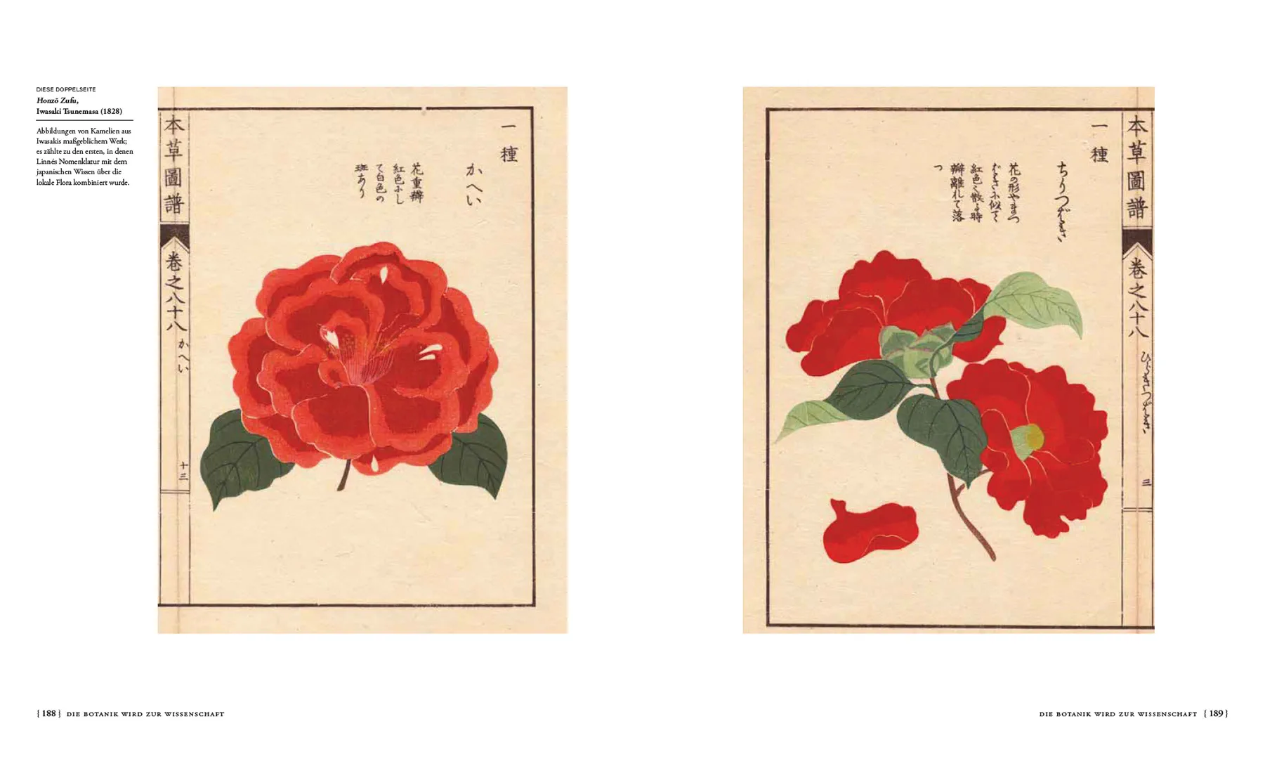 Sample Content (Image) Die Geschichte der Botanik in 300 Büchern