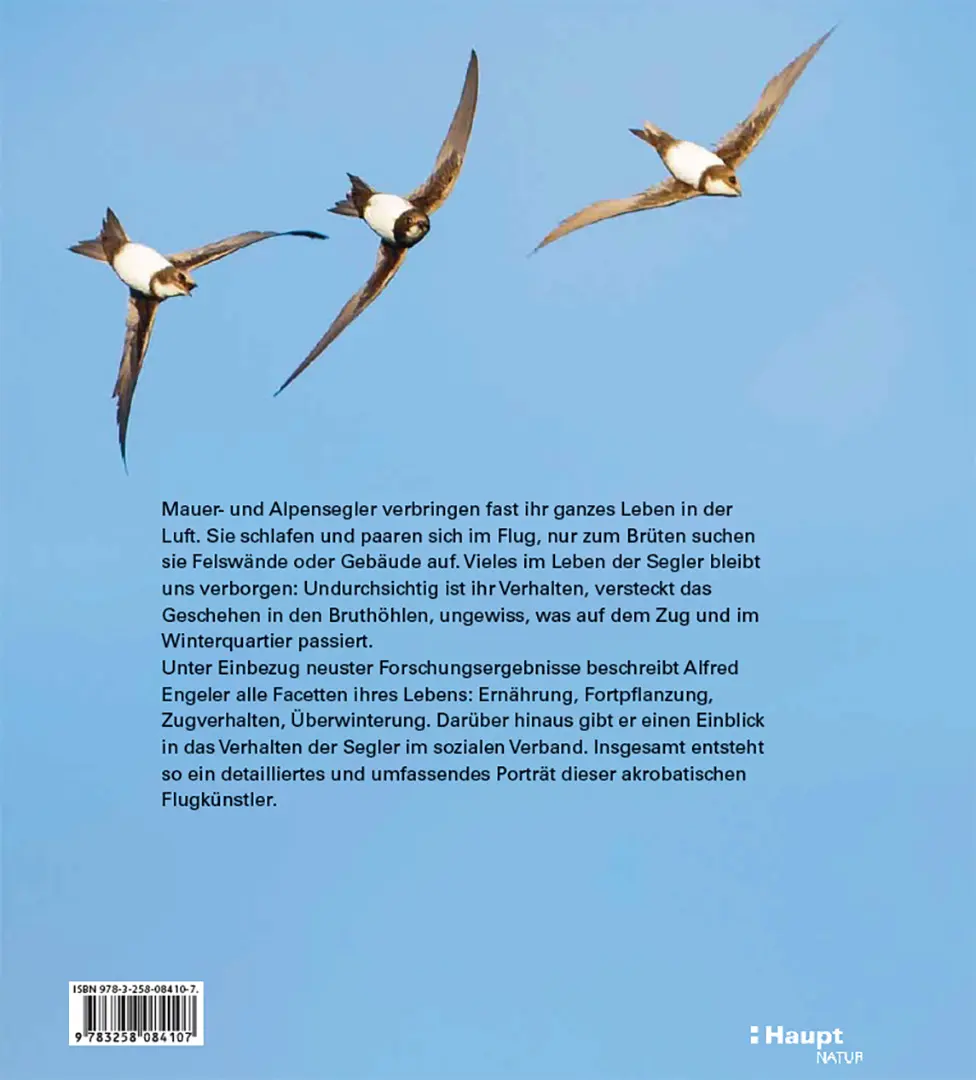 Back Cover Image Mauer- und Alpensegler