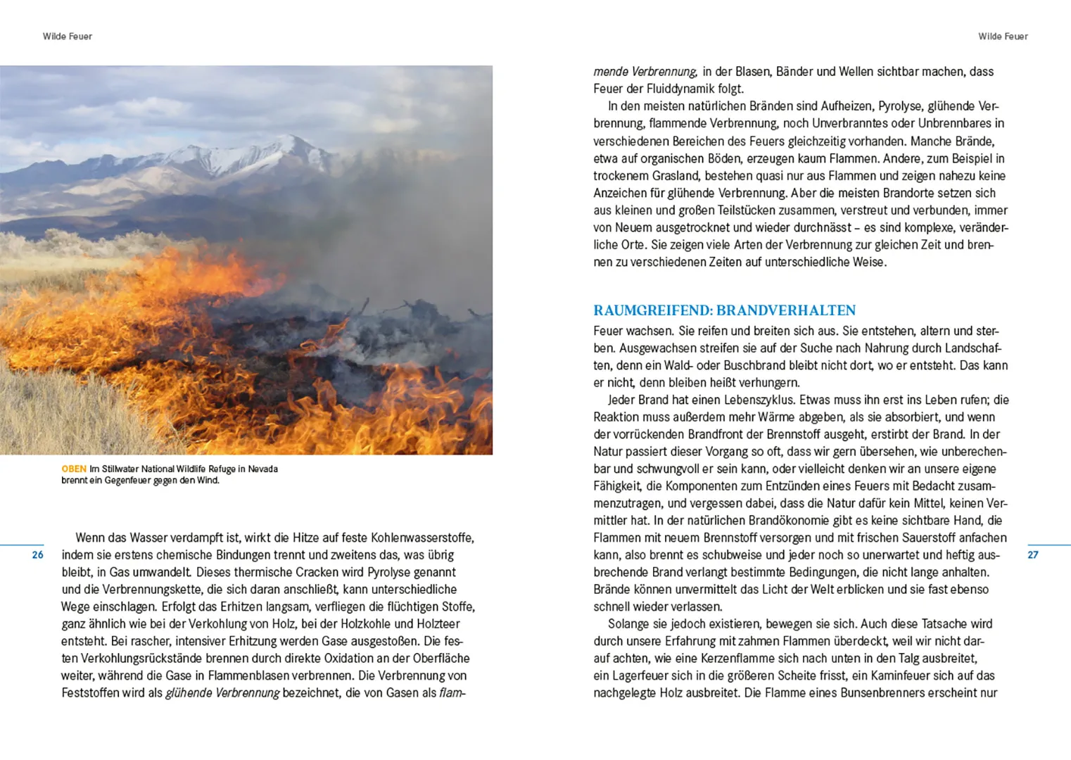 Sample Content (Image) Feuer