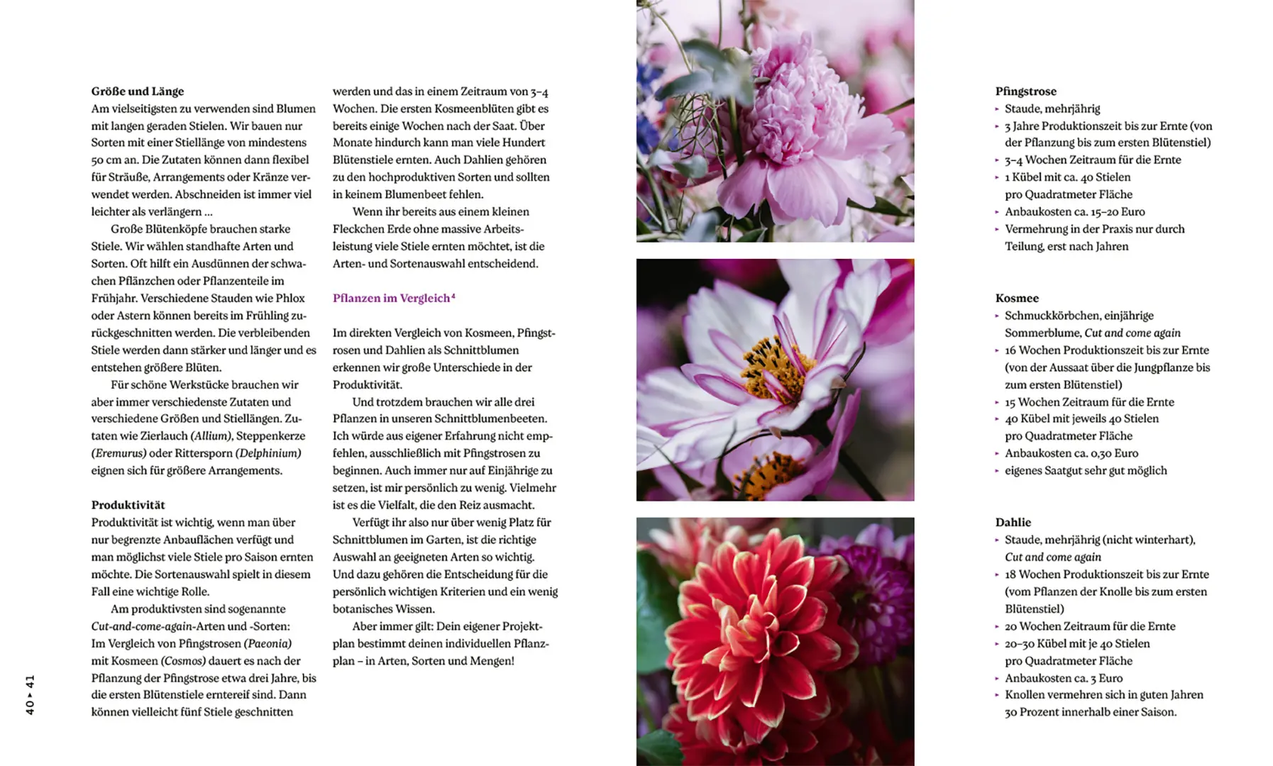 Sample Content (Image) Nachhaltige Schnittblumen