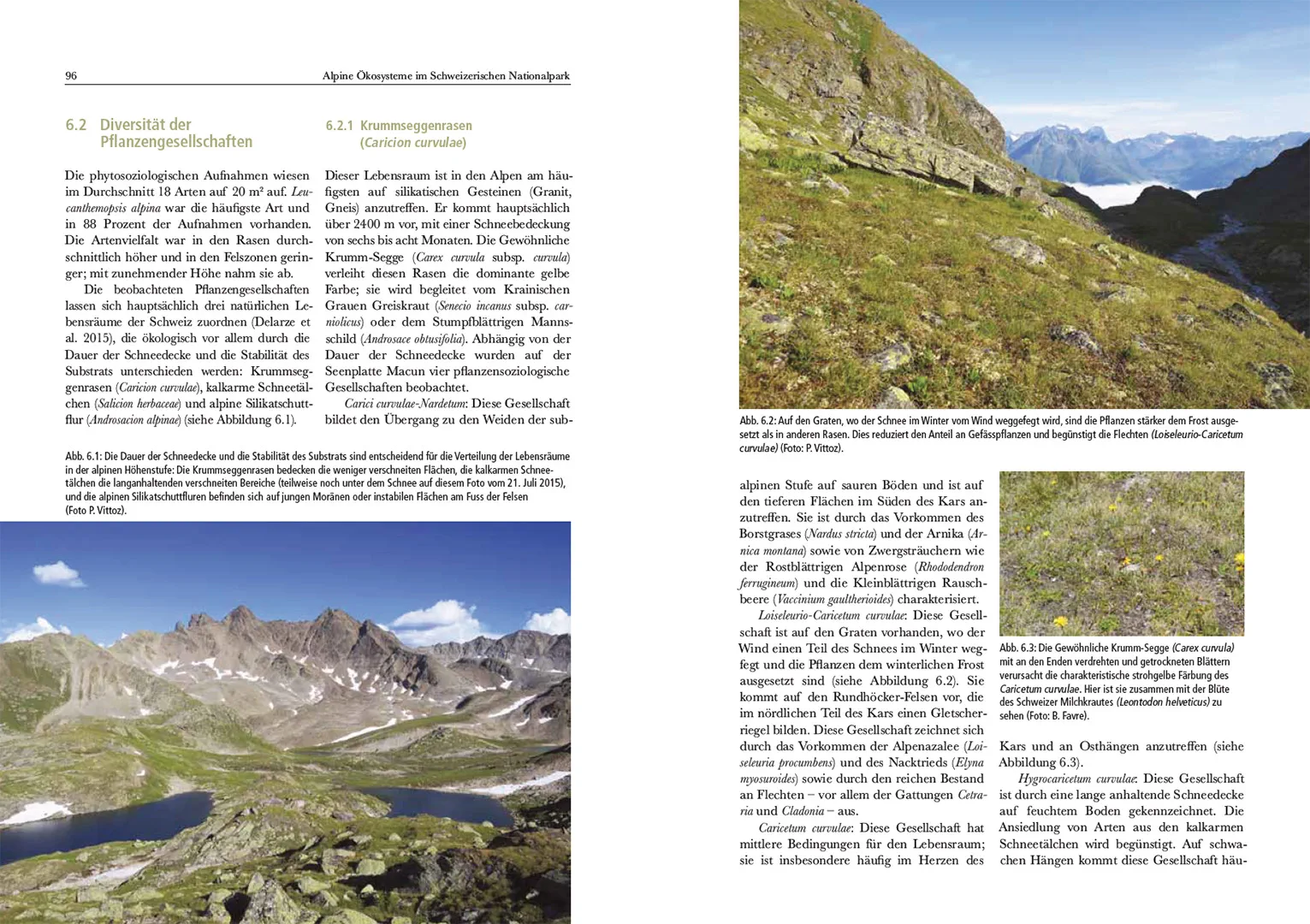 Sample Content (Image) Alpine Ökosysteme im Schweizerischen Nationalpark