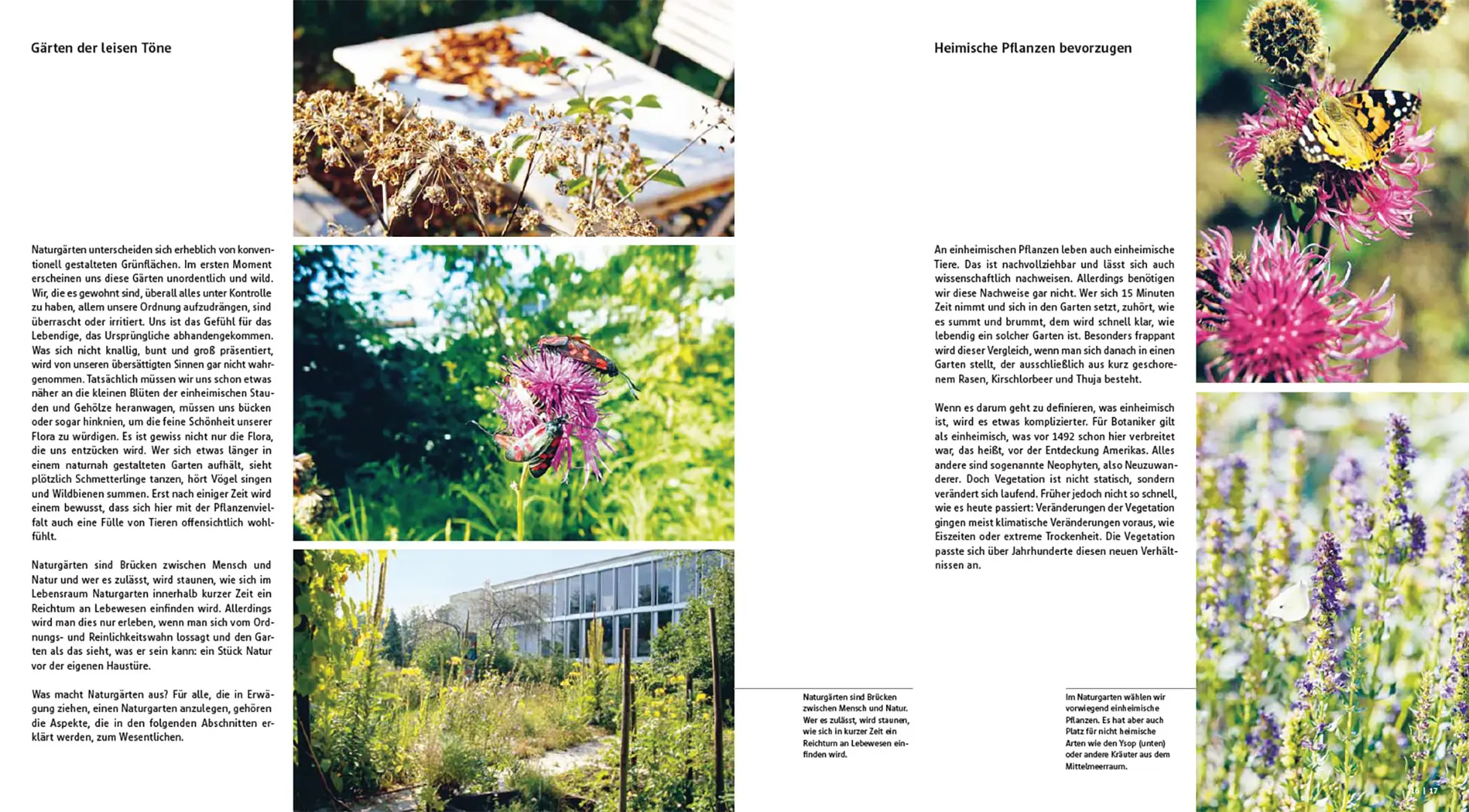 Sample Content (Image) Der gestaltete Naturgarten