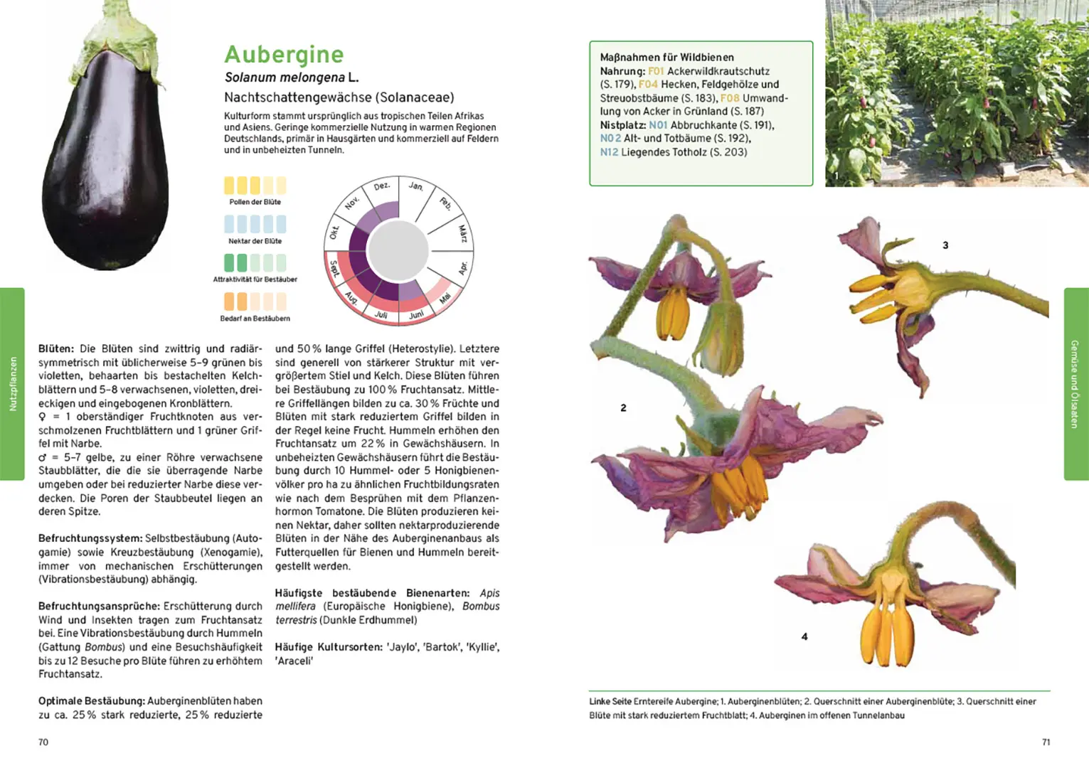 Sample Content (Image) Praxishandbuch Nutzpflanzenbestäubung