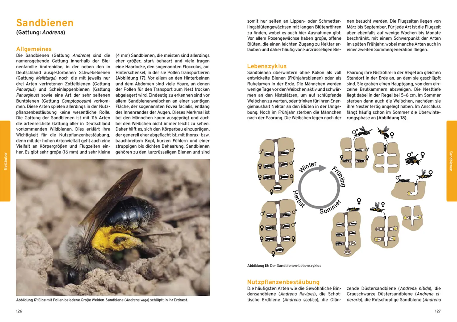 Sample Content (Image) Praxishandbuch Nutzpflanzenbestäubung