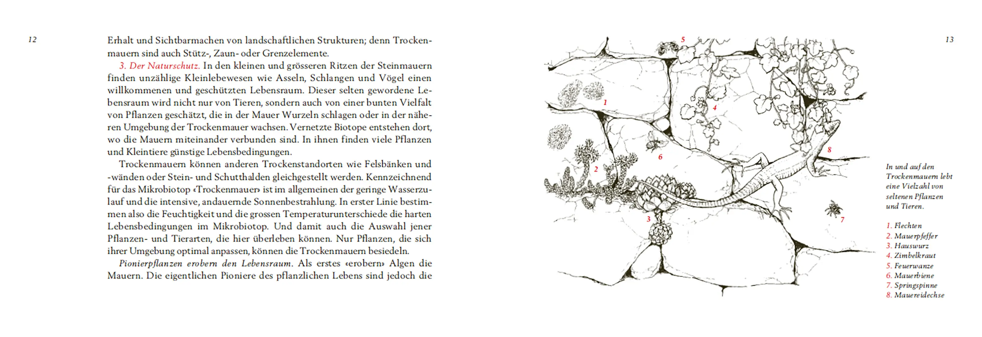 Sample Content (Image) Trockenmauern