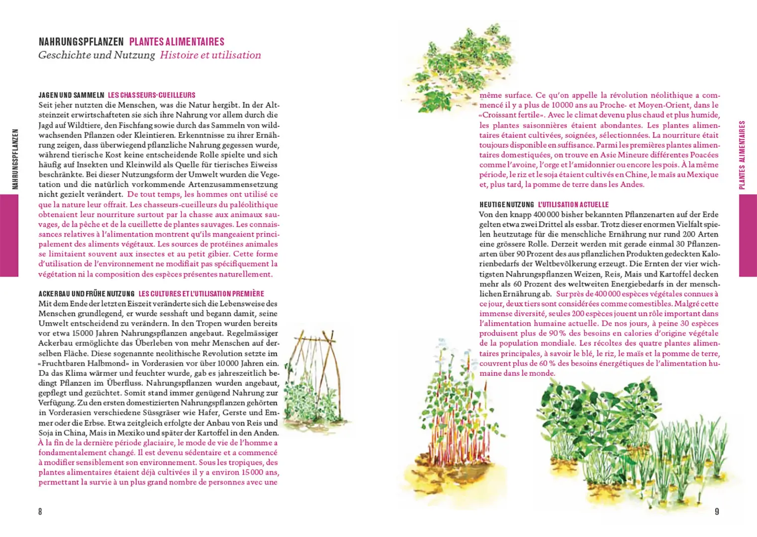 Sample Content (Image) Botanica 2025