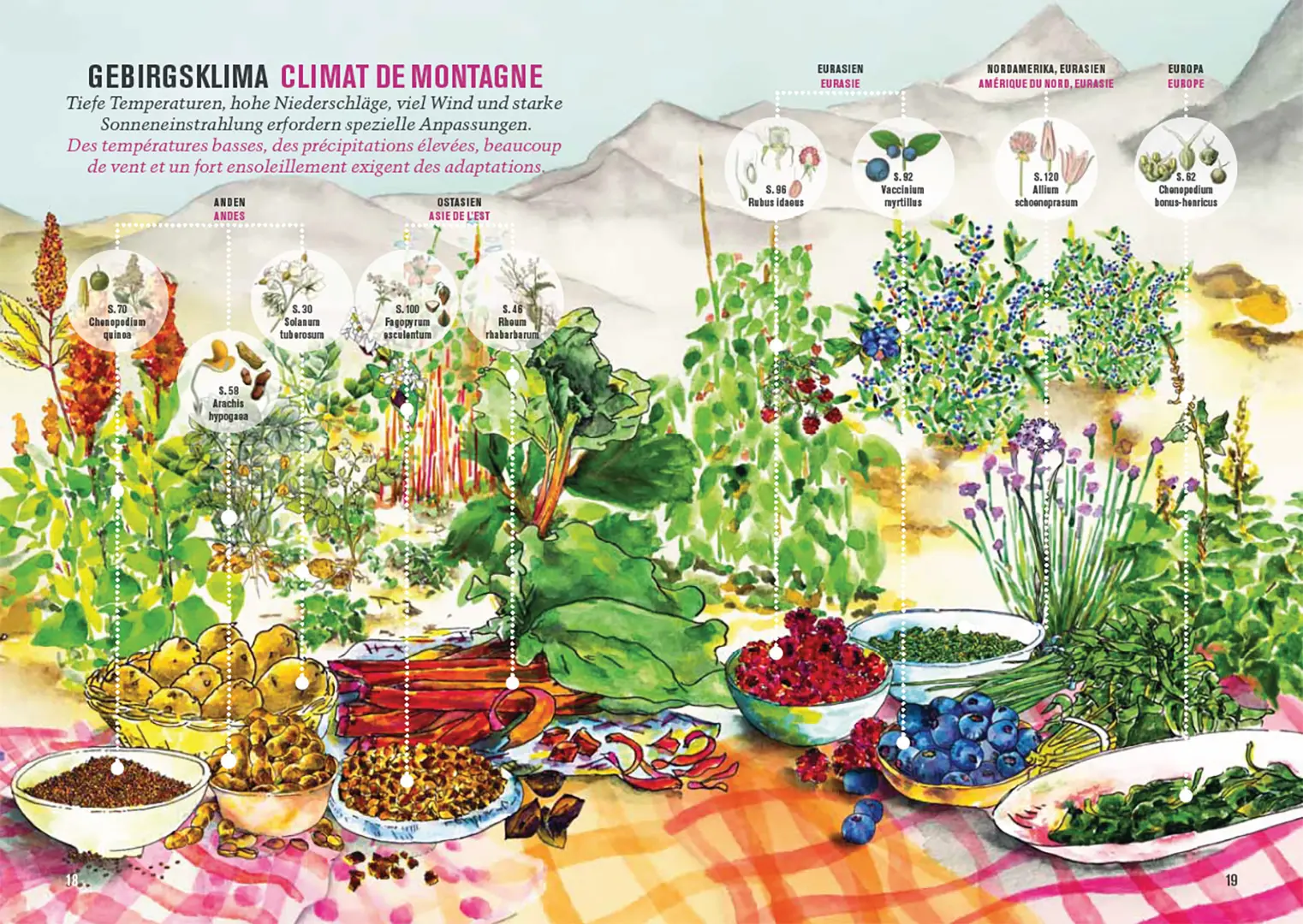 Sample Content (Image) Botanica 2025