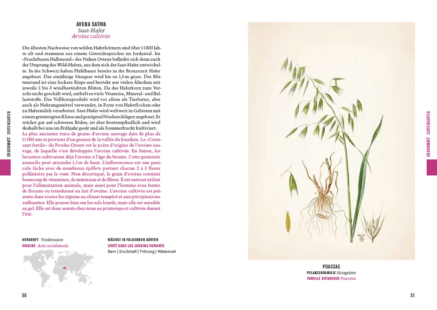 Sample Content (Image) Botanica 2025