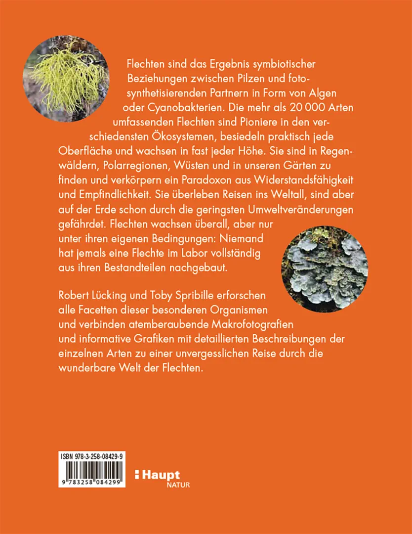 Back Cover Image Flechten