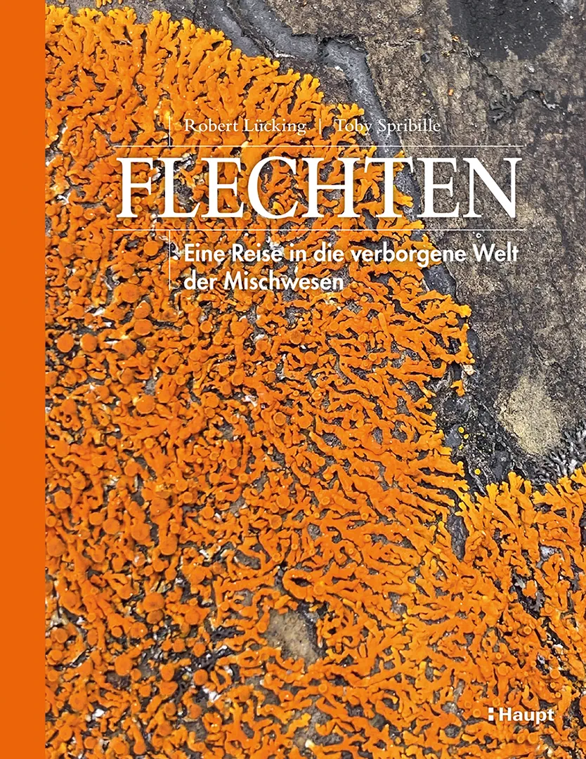 Front Cover Image Flechten
