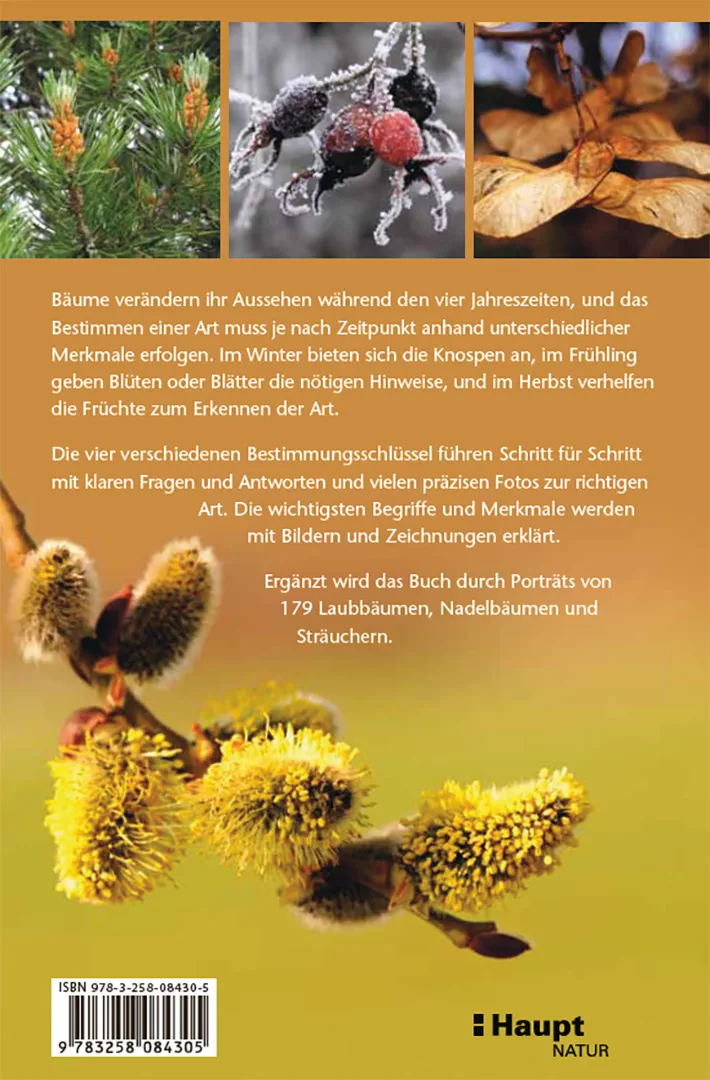Back Cover Image Bäume bestimmen - Knospen, Blüten, Blätter, Früchte