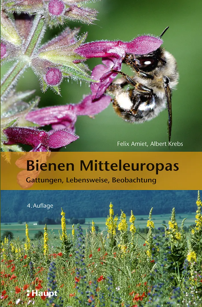 Front Cover Image Bienen Mitteleuropas