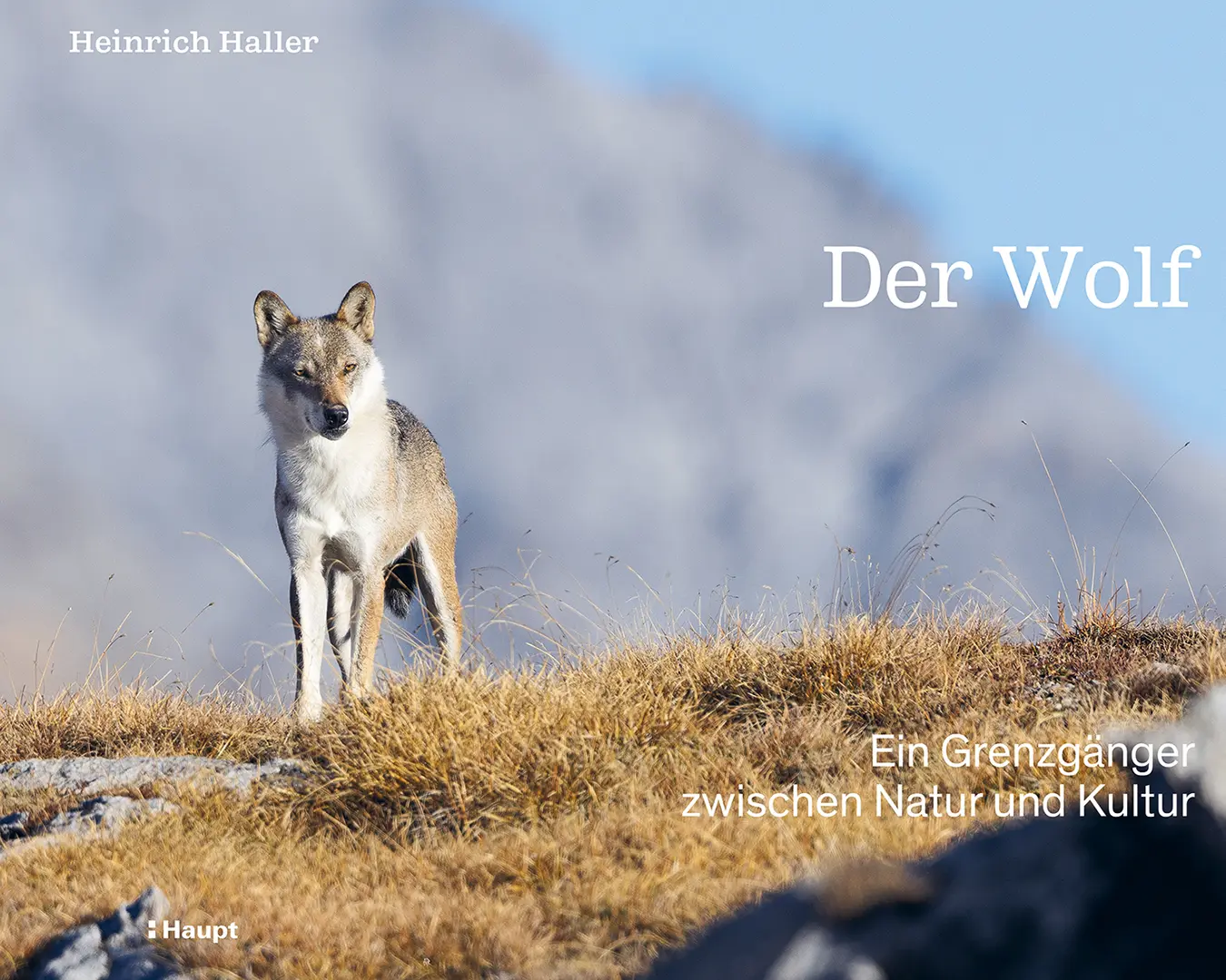Front Cover Image Der Wolf