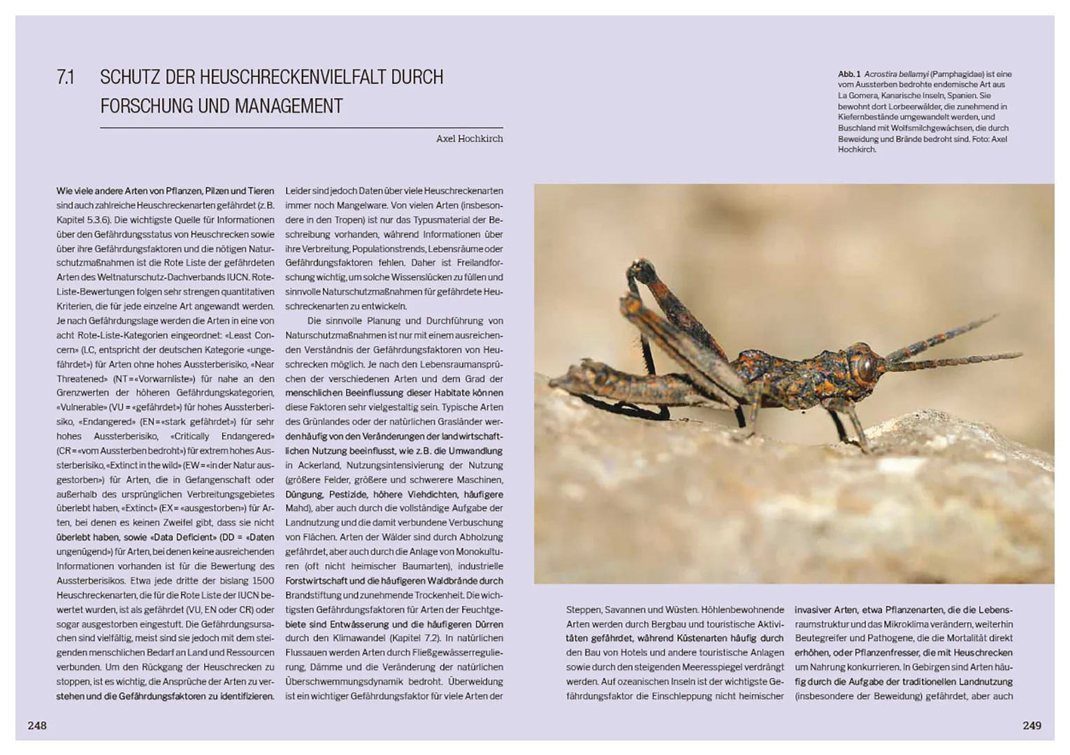 Sample Content (Image) Die Welt der Heuschrecken