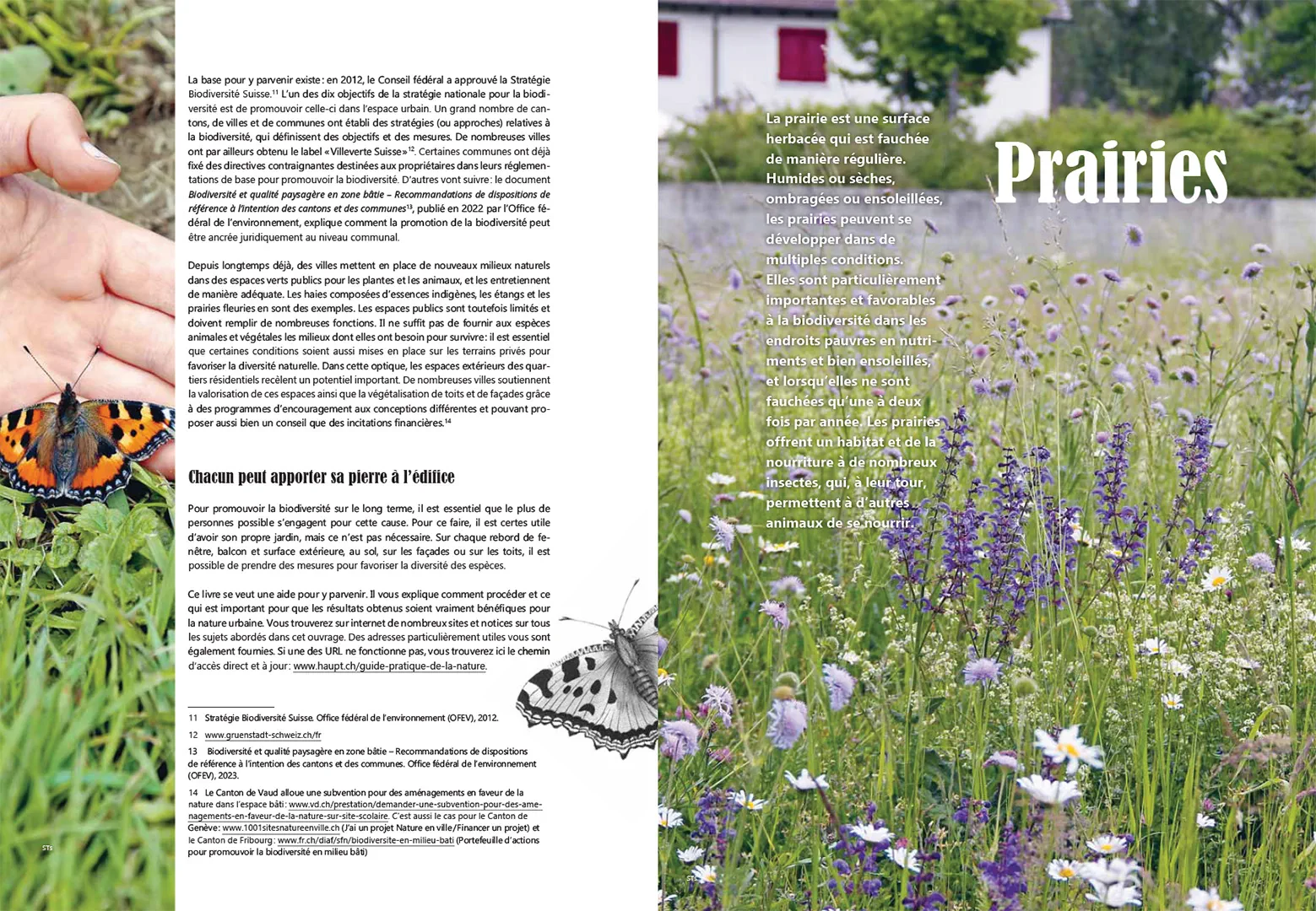 Sample Content (Image) Guide pratique de la nature en ville