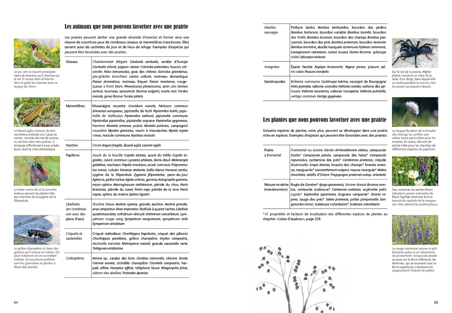 Sample Content (Image) Guide pratique de la nature en ville