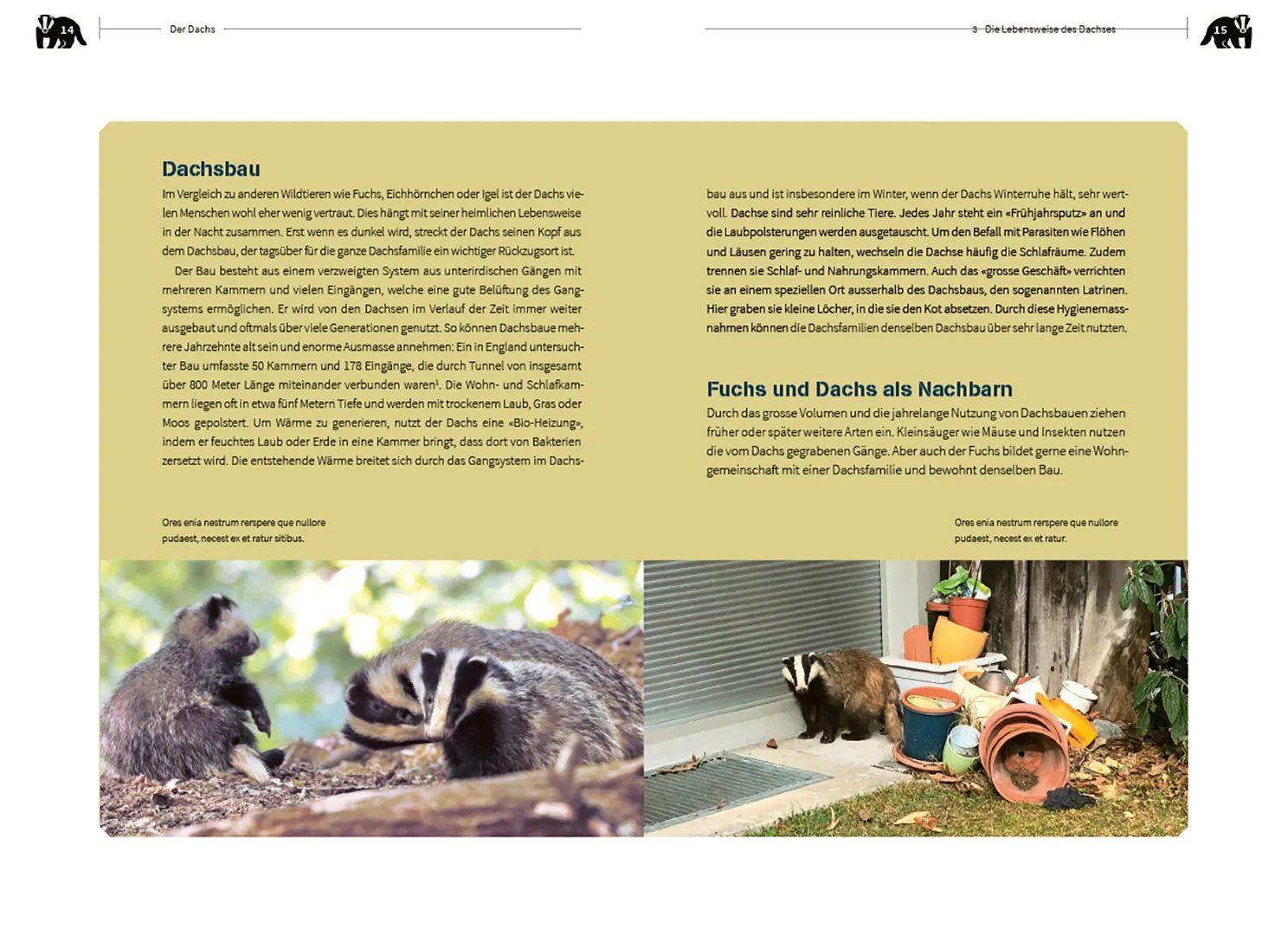 Sample Content (Image) Der Dachs