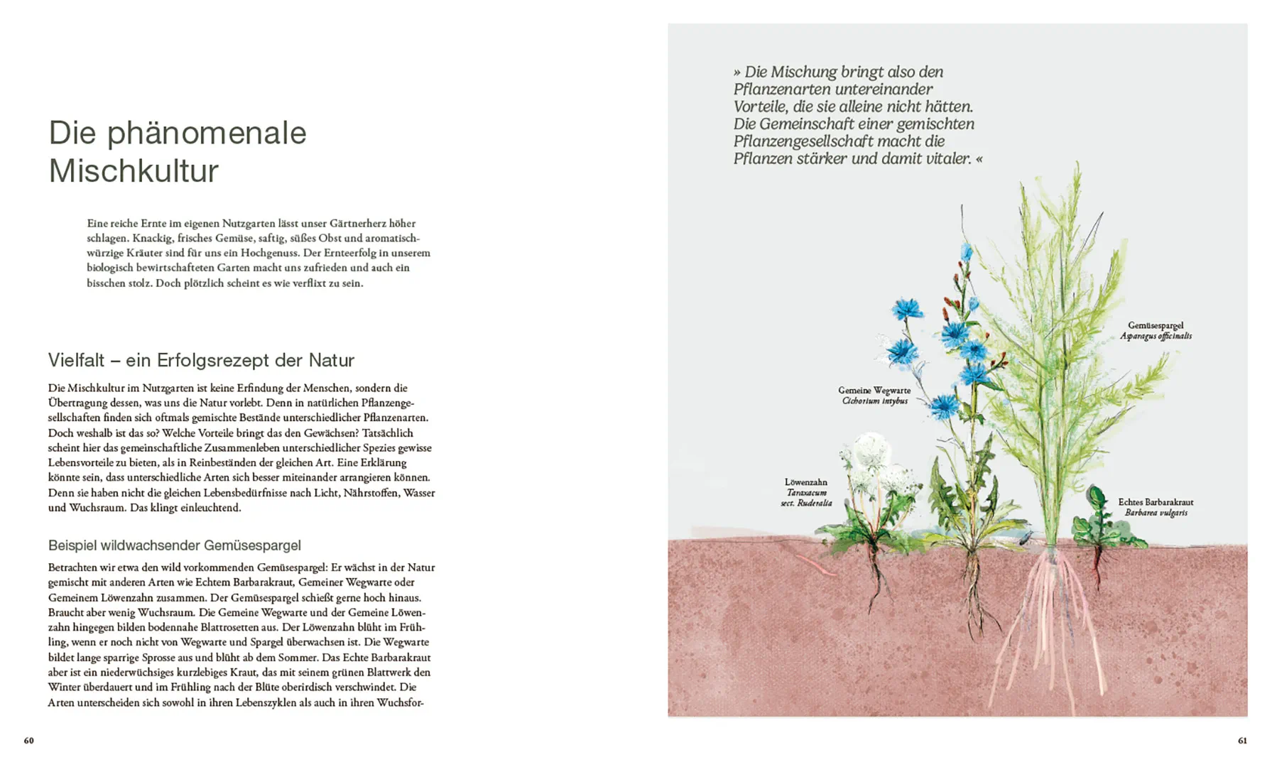 Sample Content (Image) Von Pflanzen, die sich mögen und Tieren, die uns helfen