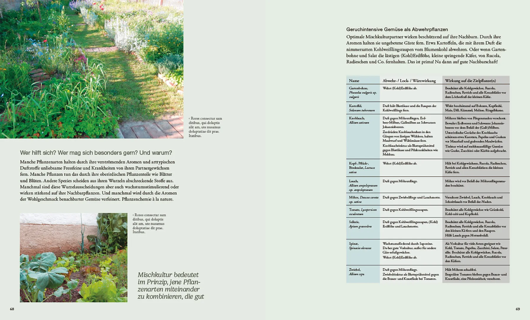 Sample Content (Image) Von Pflanzen, die sich mögen und Tieren, die uns helfen