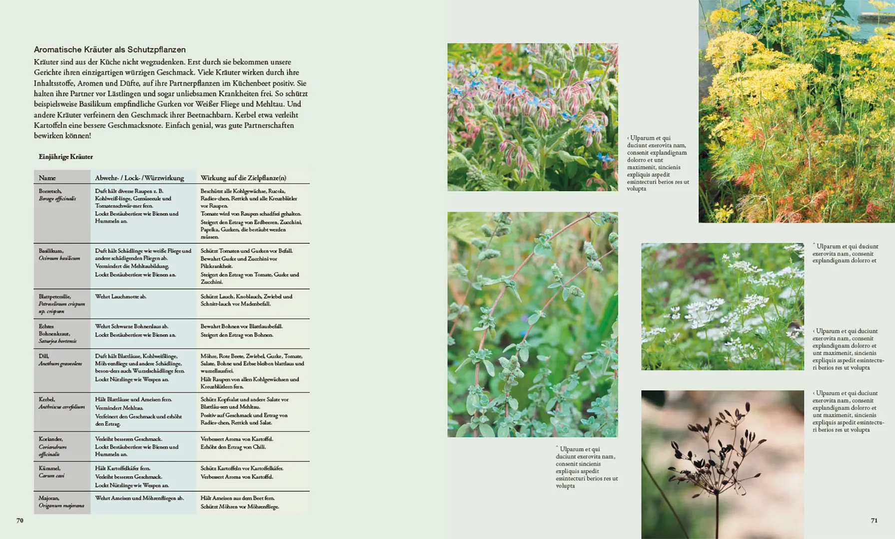 Sample Content (Image) Von Pflanzen, die sich mögen und Tieren, die uns helfen