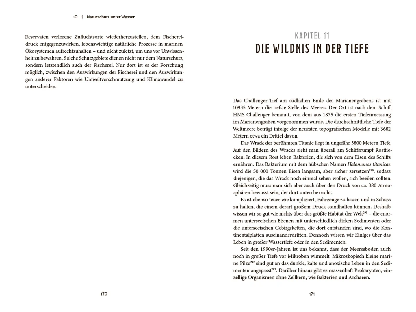 Sample Content (Image) Kann das Meer die Erde retten?