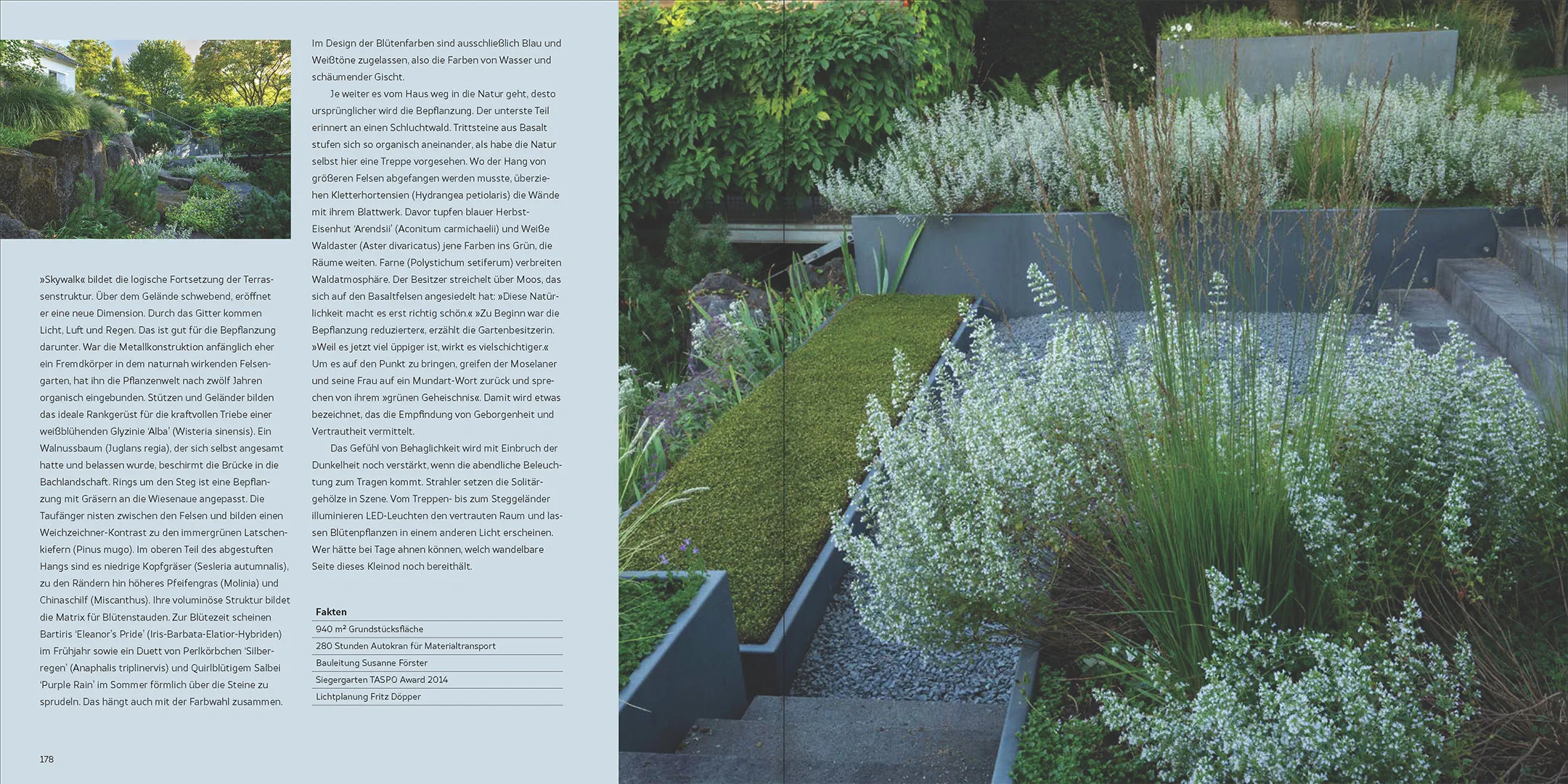 Sample Content (Image) Natur, Ästhetik, Design