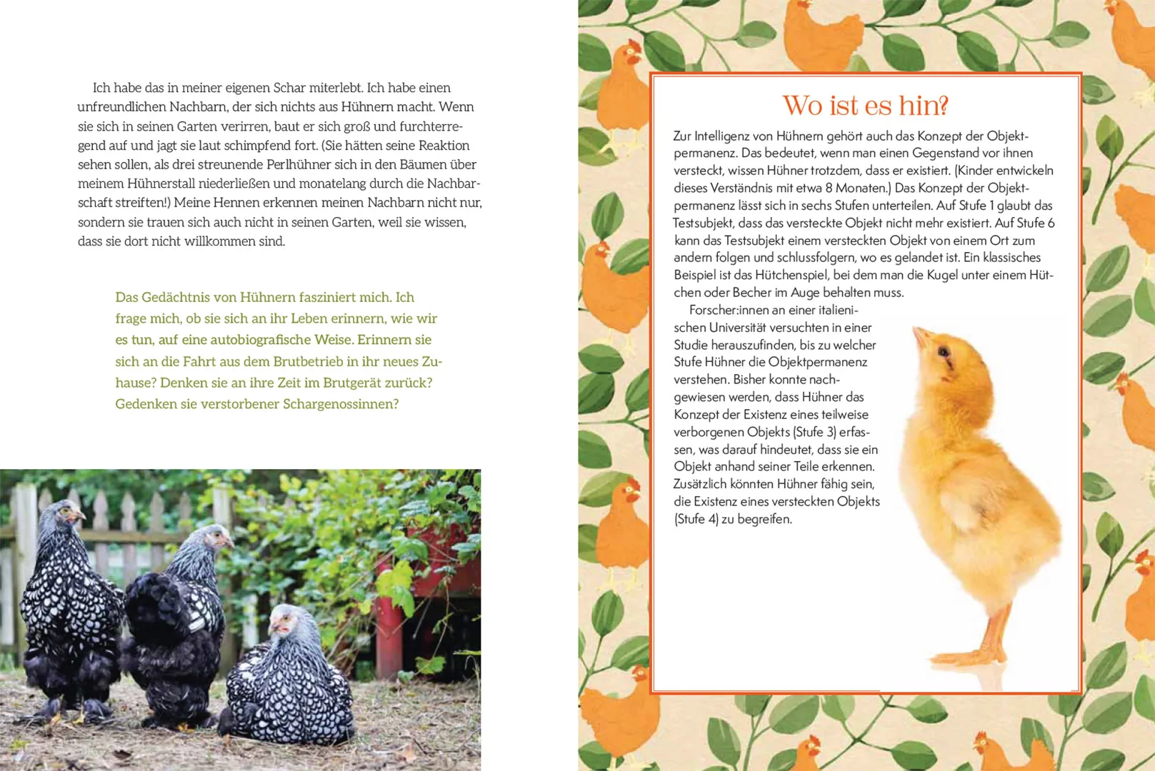 Sample Content (Image) How to Read a Chicken's Mind