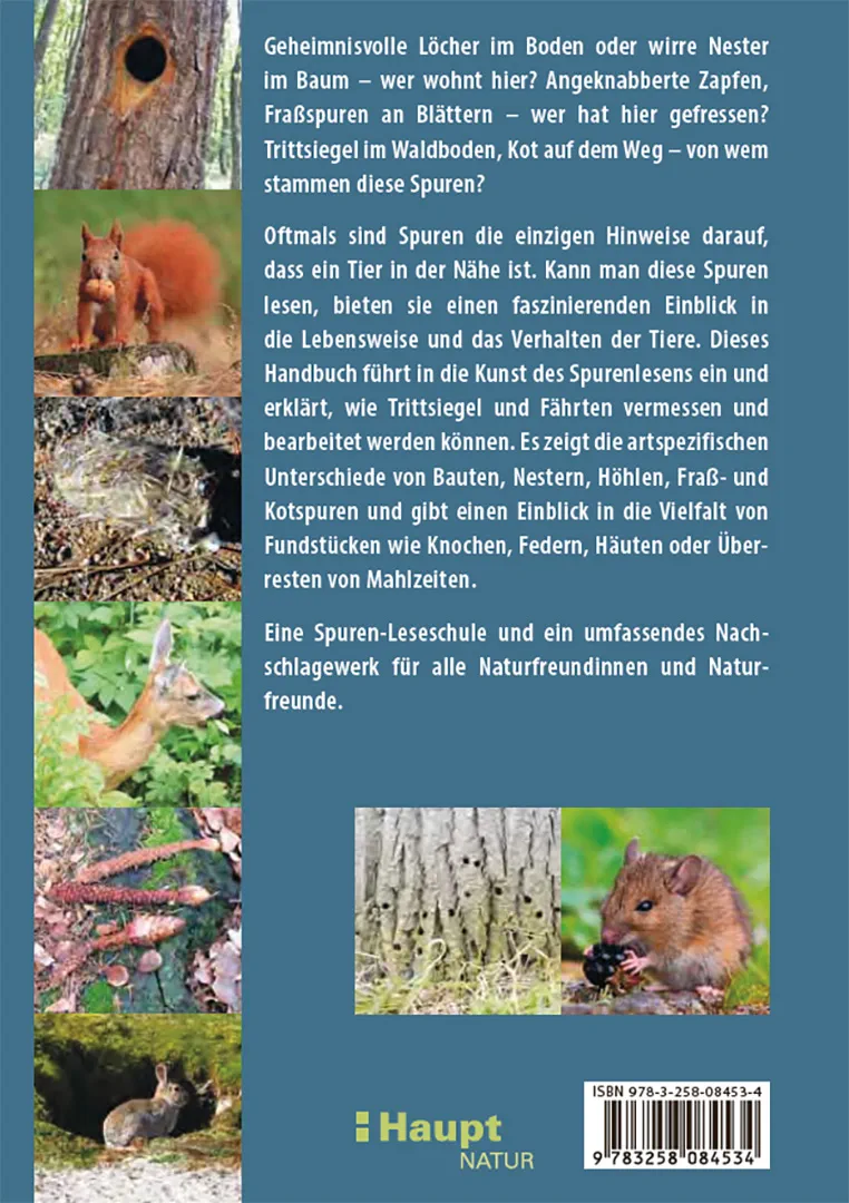 Back Cover Image Fährten lesen und Spuren suchen