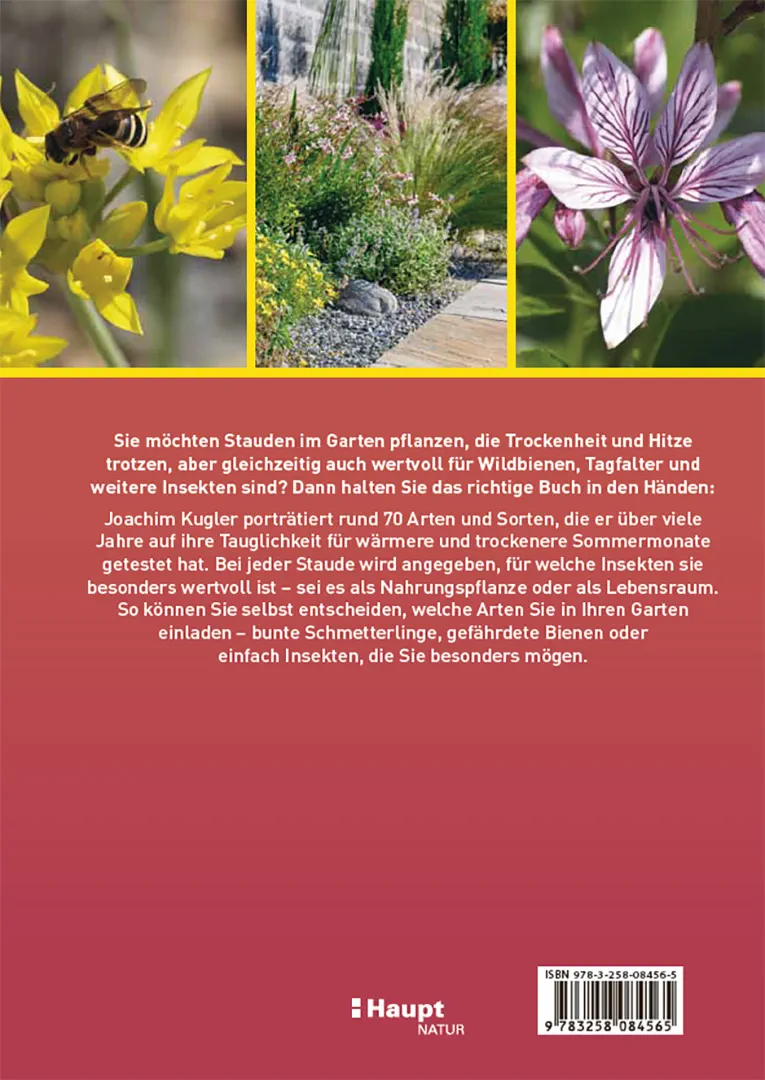 Back Cover Image Klimastarke Stauden