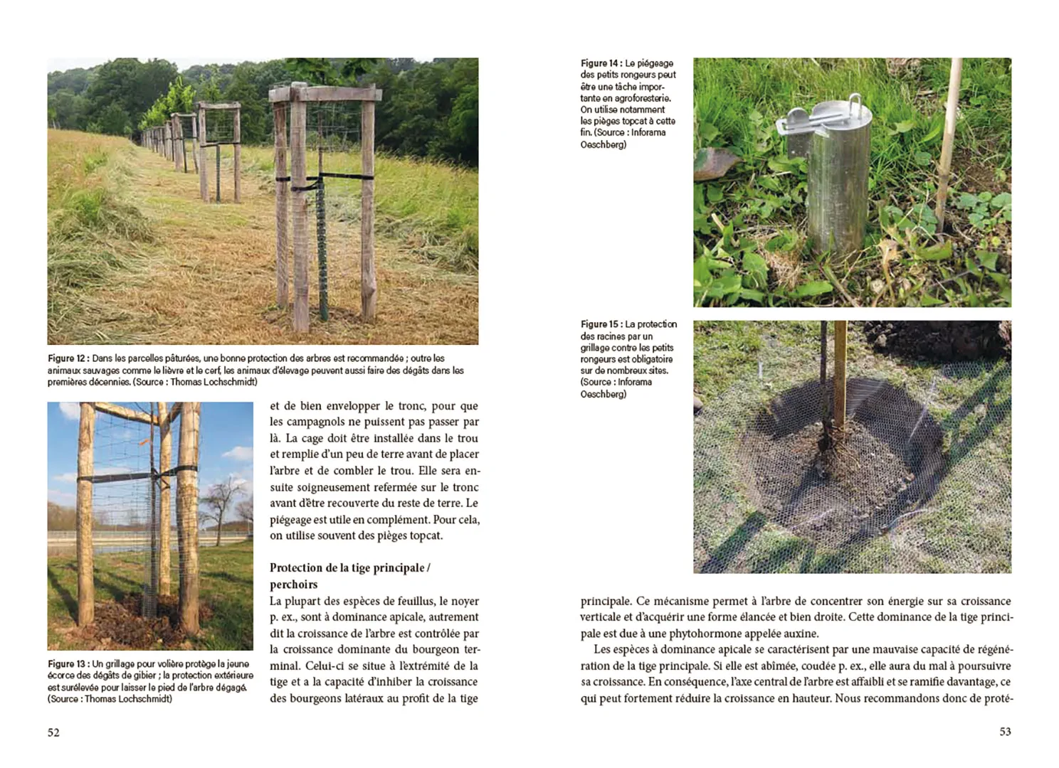 Sample Content (Image) La pratique agroforestière en Suisse