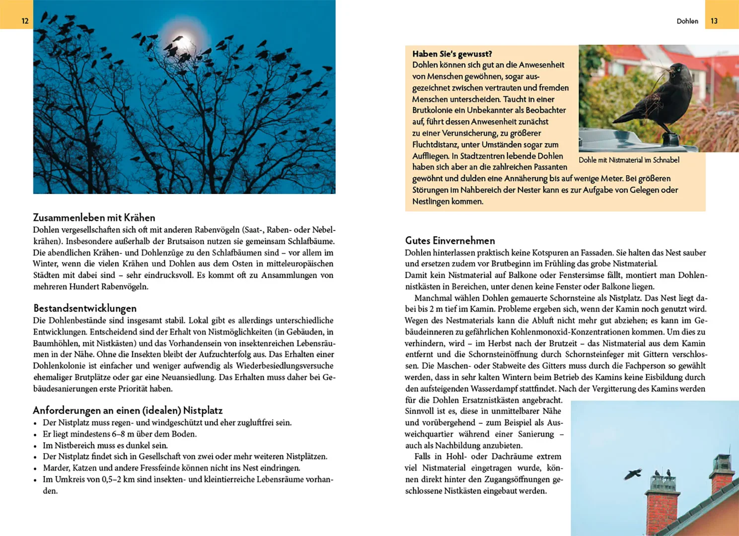 Sample Content (Image) Wildtiere am Haus