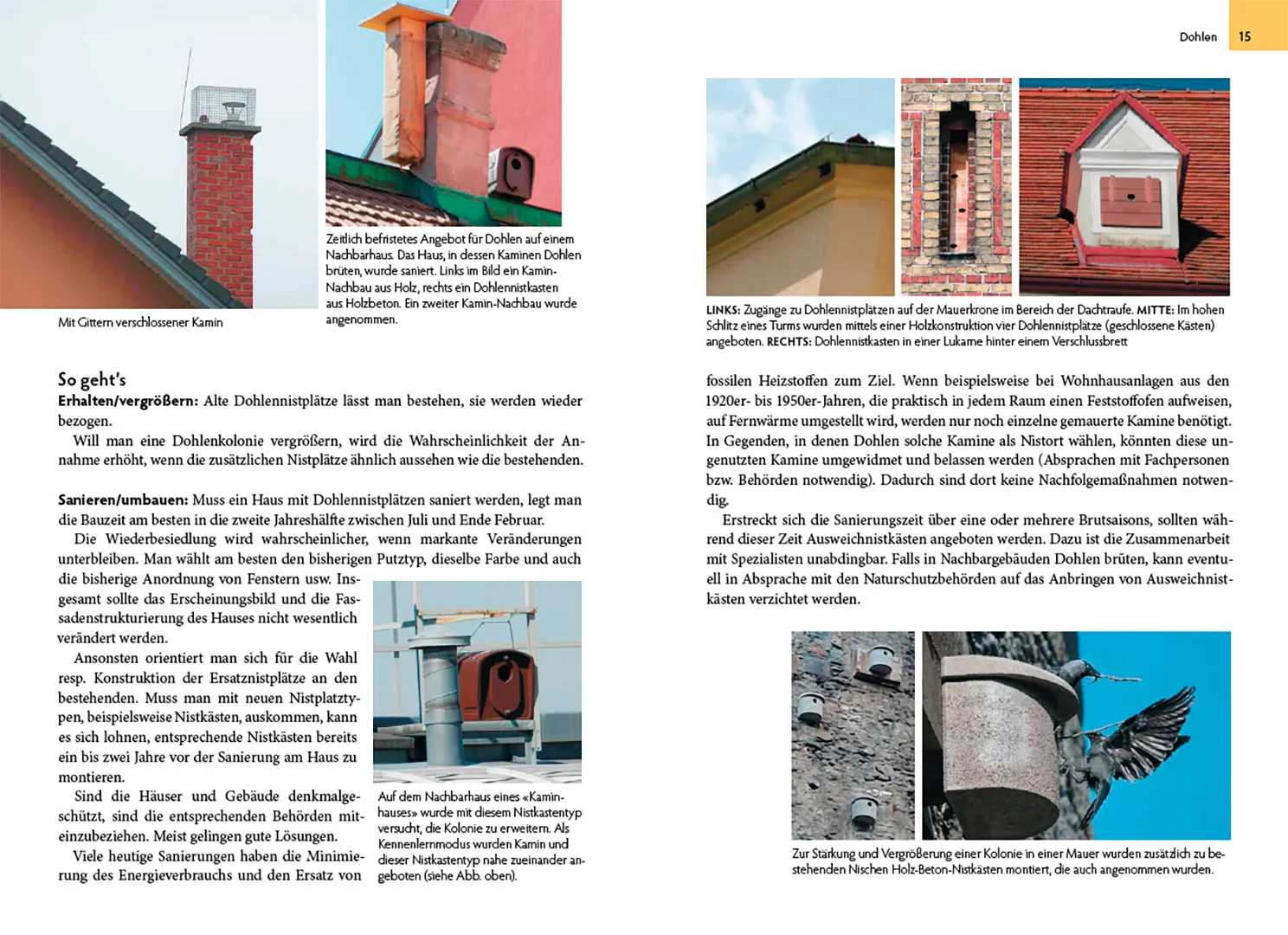 Sample Content (Image) Wildtiere am Haus