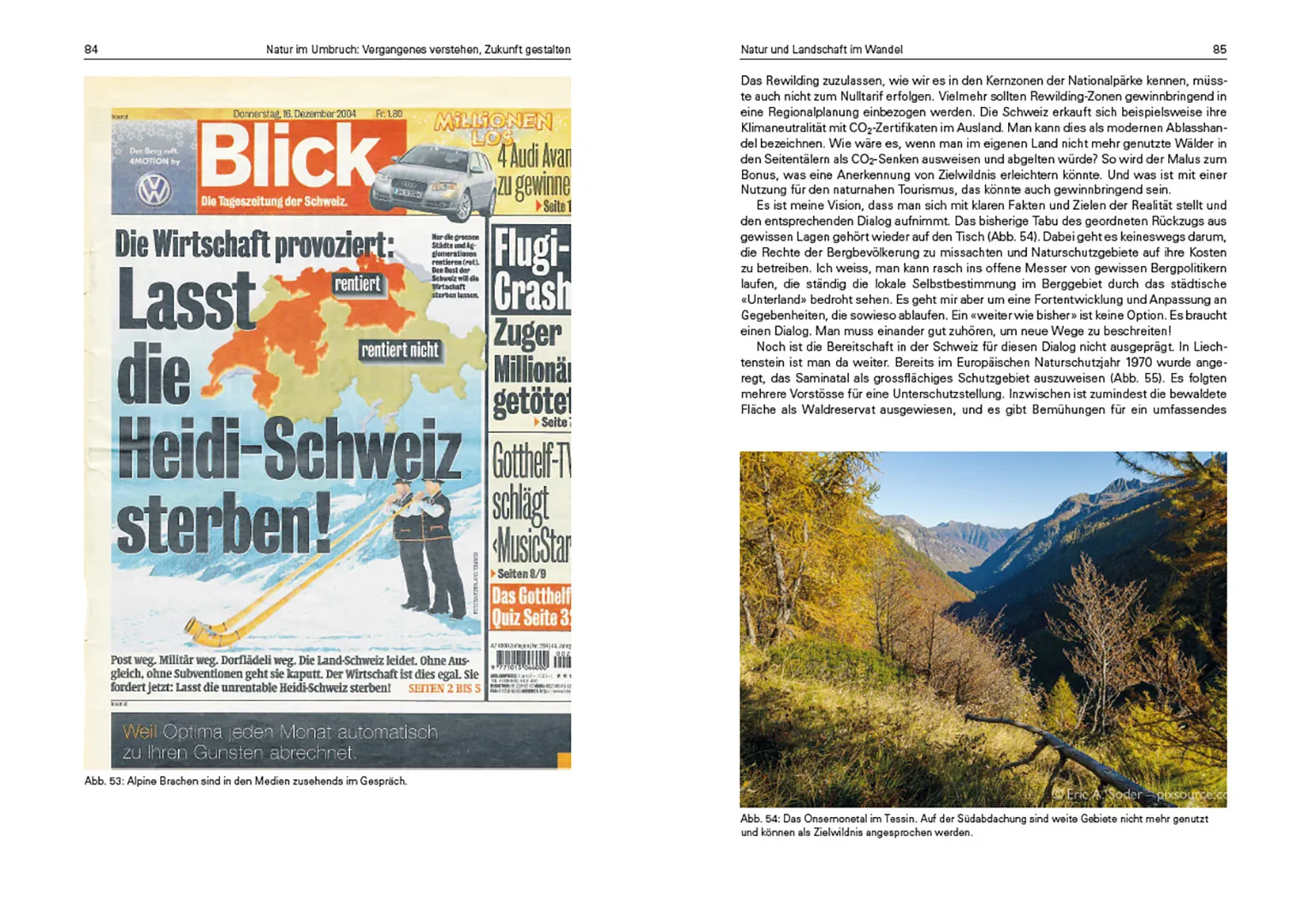 Sample Content (Image) Natur im Umbruch: Vergangenes verstehen, Zukunft gestalten