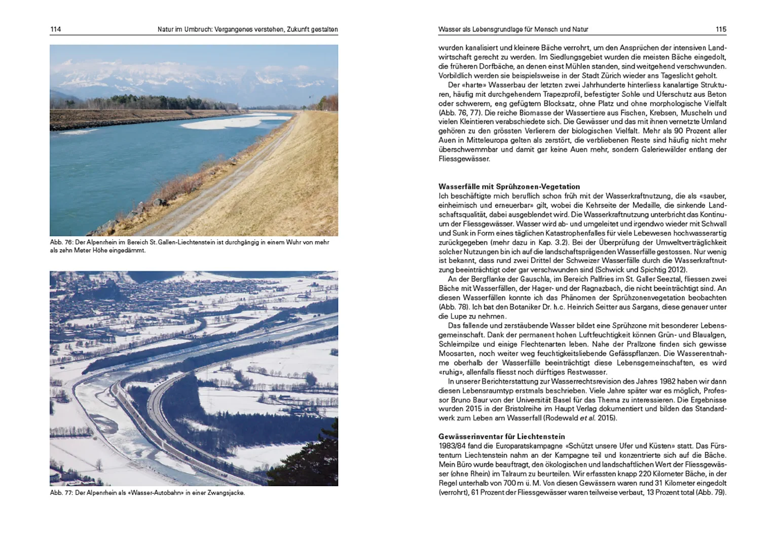 Sample Content (Image) Natur im Umbruch: Vergangenes verstehen, Zukunft gestalten