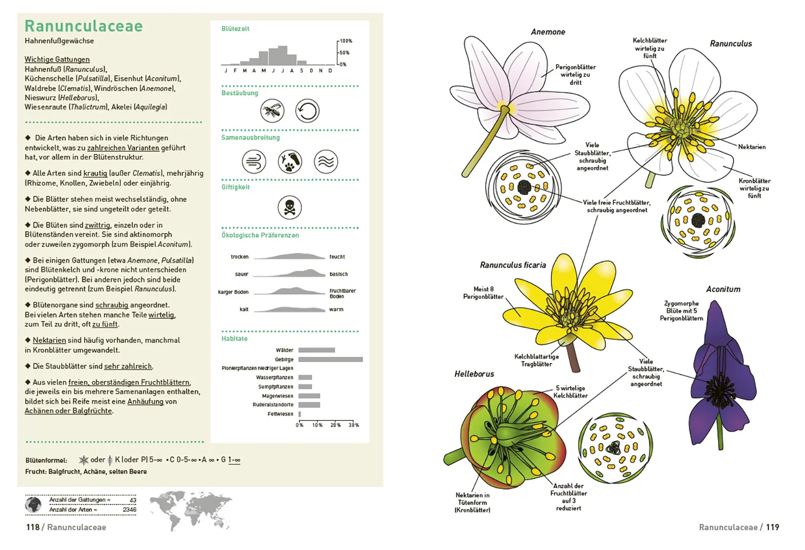 Sample Content (Image) Botanische Grundkenntnisse auf einen Blick