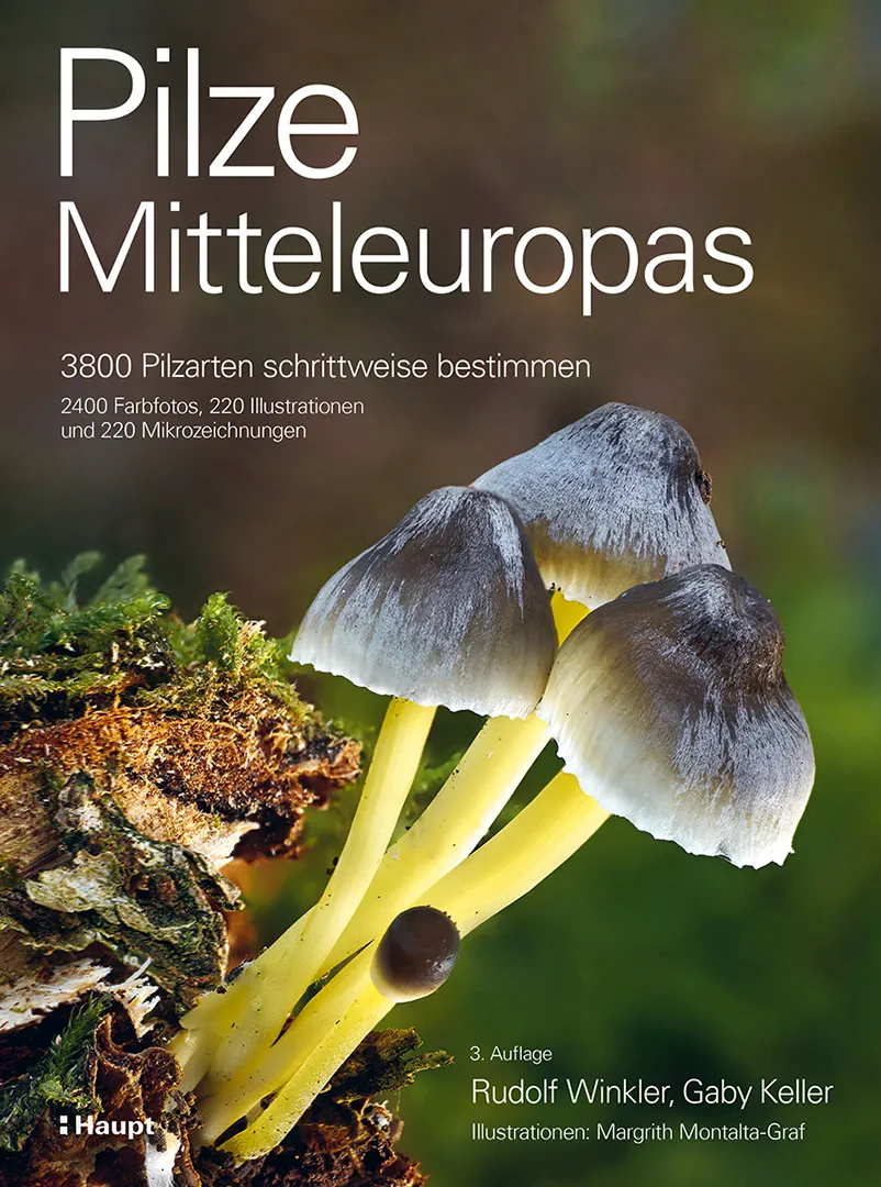 Front Cover Image Pilze Mitteleuropas